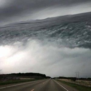 Meet your Posher, Brendan